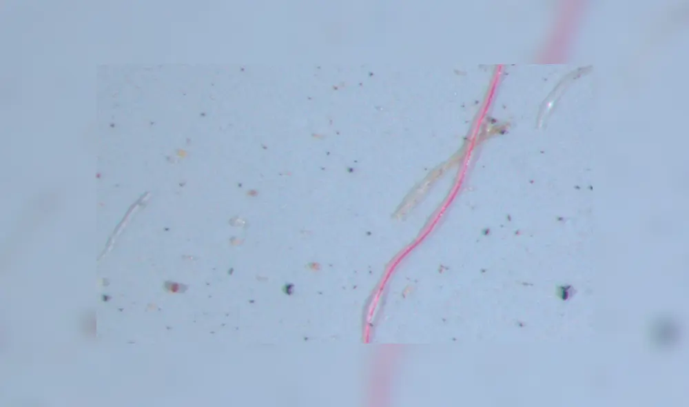 Científicos hallan micropartículas de plástico en muestras de lluvia. Foto: usgs.gov