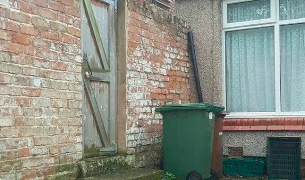 Facebook - animales - gatos