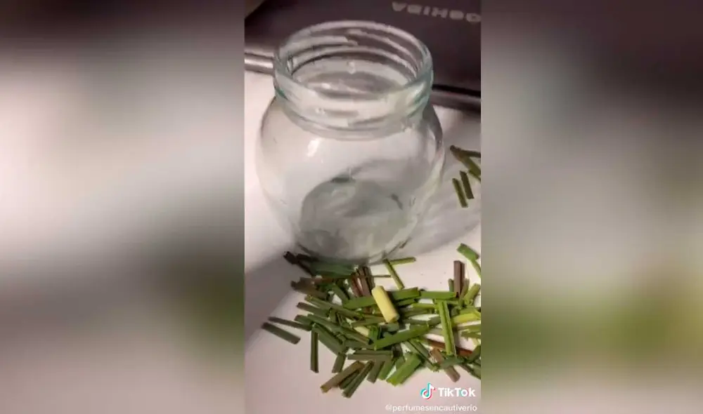 Desliza las imágenes para conocer un poco más sobre la preparación de este perfume de hierba luisa. Foto: captura de TikTok/danieltodista
