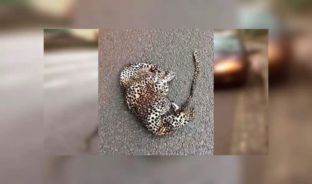 Desliza para ver los detalles de esta historia que se viralizó en Facebook. Foto: Captura.