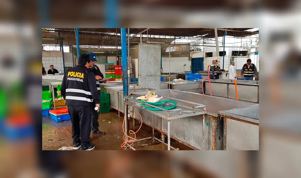 Ate: avícola inflaba pollos con agua para aumentar su peso