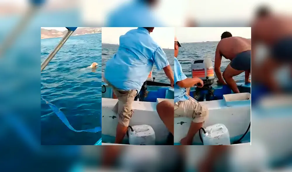 Hombres navegaban en alta mar a bordo de una lancha cuando se percataron de la desesperante situación del cachorro Hombres navegaban en alta mar a bordo de una lancha cuando se percataron de la desesperante situación del cachorro