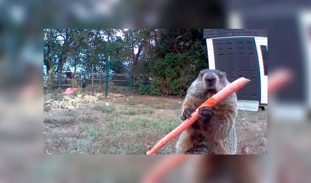 Desliza para ver los detalles del video viral de Facebook. Foto: Captura.