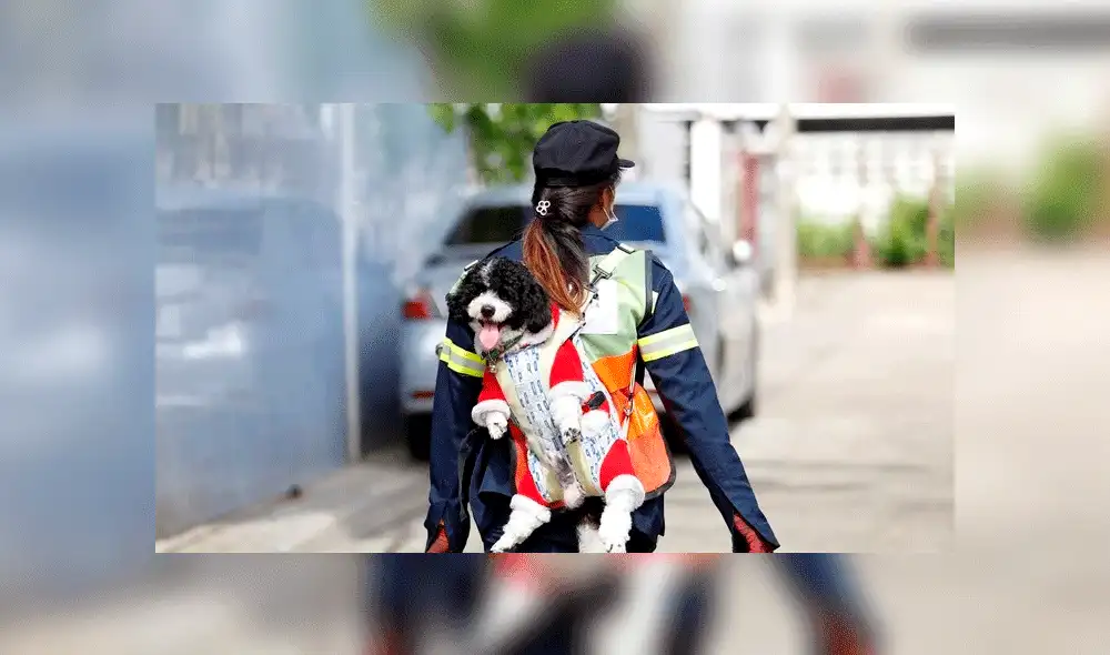 Barrendera y su perro se vuelven viral en redes sociales. Foto: Reuters Barrendera y su perro se vuelven viral en redes sociales. Foto: Reuters