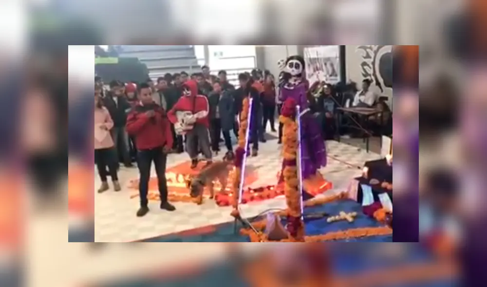 El can se infiltró en una exposición de altares de muertos y protagonizó un peculiar incidente que ha desatado miles de carcajadas en YouTube