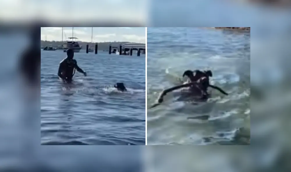 Desliza las imágenes para ver más sobre la curiosa reacción de este perro al estar en la playa. (Foto: captura)