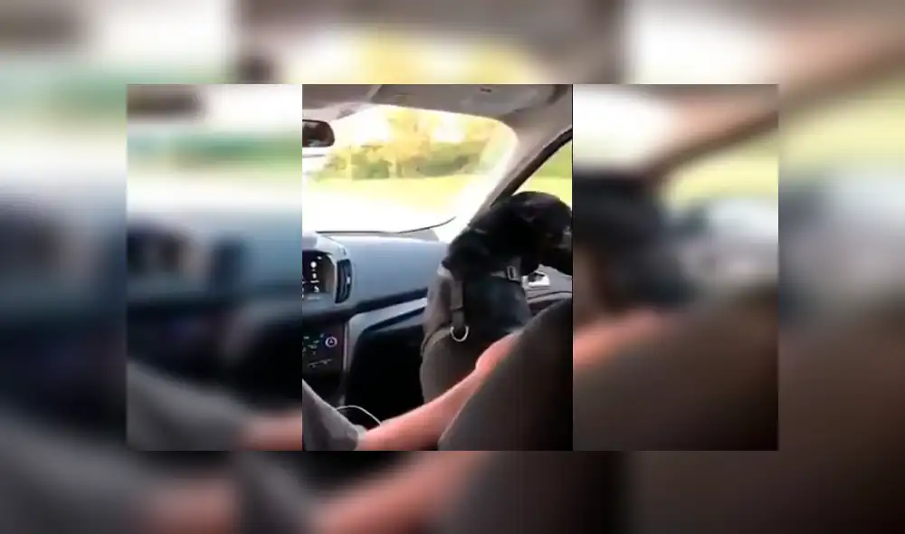 El hombre grabó la curiosa conducta de su perro cuando lo llevaba de copiloto en su vehículo. La divertida grabación se ha hecho viral en Facebook