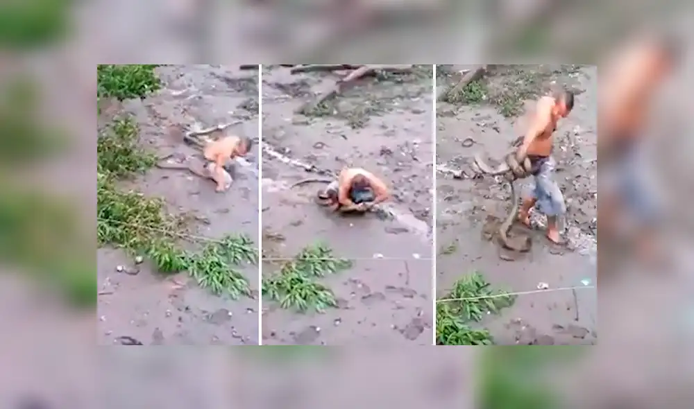 Desliza hacia la izquierda para ver el momento en que el hombre interfiere en la batalla de dos enormes serpientes en Filipinas. El video es viral en YouTube.
