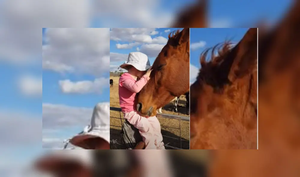 Video es viral en TikTok. Familiar de la pequeña grabó el singular comportamiento que tuvo uno de los caballos, mientras la pequeña entonaba una canción de Michael Jackson. Fotocaptura: YouTube Video es viral en TikTok. Familiar de la pequeña grabó el singular comportamiento que tuvo uno de los caballos, mientras la pequeña entonaba una canción de Michael Jackson. Fotocaptura: YouTube