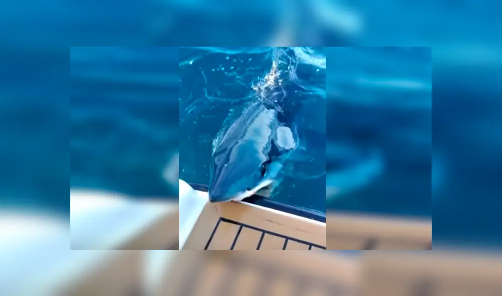 Desliza hacia la izquierda para ver más del video viral