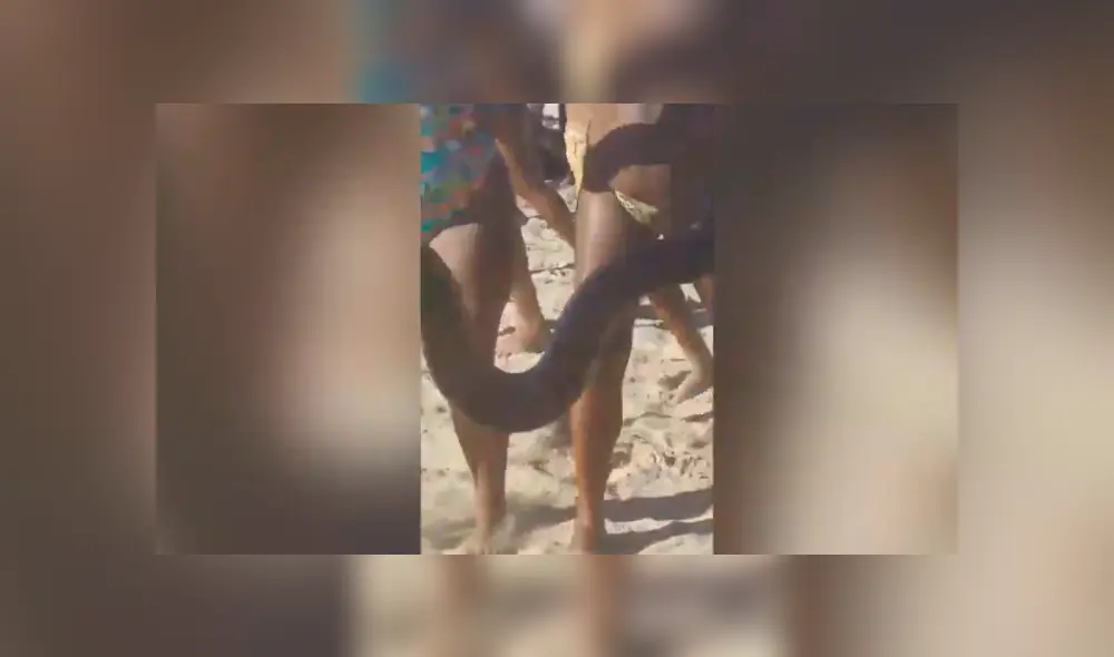 Desliza hacia la izquierda para ver a la enorme anaconda que se hizo viral en YouTube. Desliza hacia la izquierda para ver a la enorme anaconda que se hizo viral en YouTube.