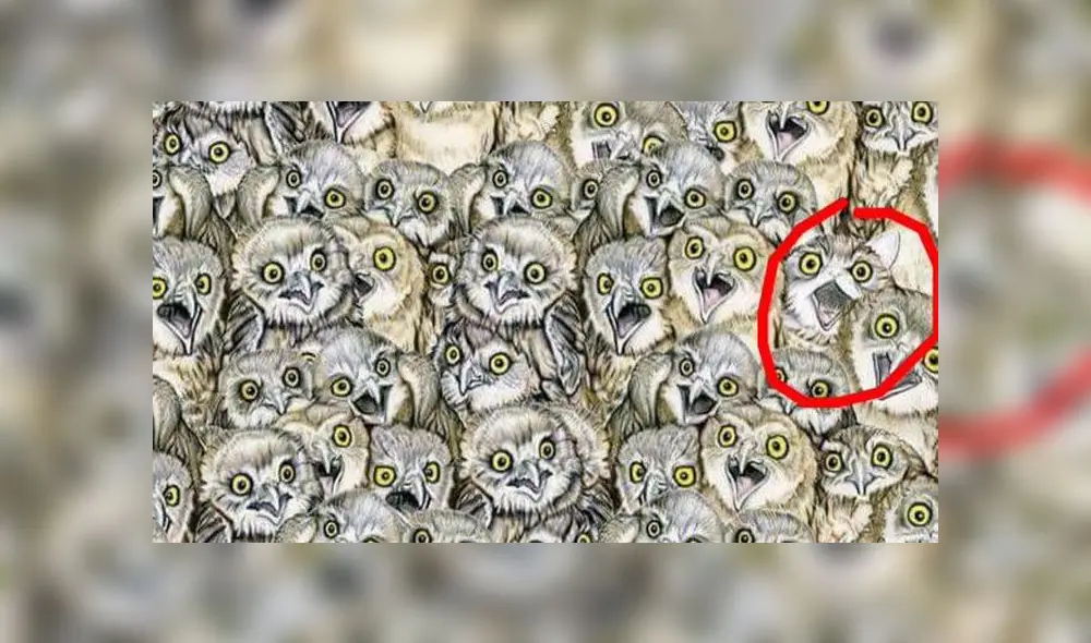 Desliza las imágenes para conocer la respuesta de este complejo reto visual. Foto: Facebook. Desliza las imágenes para conocer la respuesta de este complejo reto visual. Foto: Facebook.