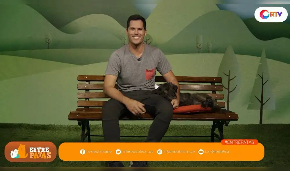 ¿Cómo controlar la agresividad en los perros? - Entre patas