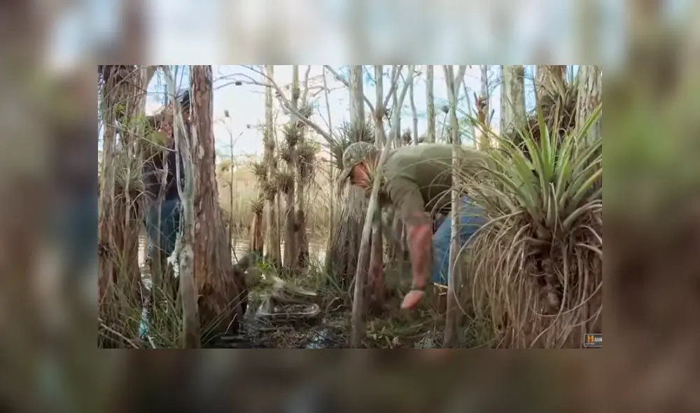 Desliza hacia la izquierda para ver el ataque de la pitón. Imágenes del video viral de Facebook.