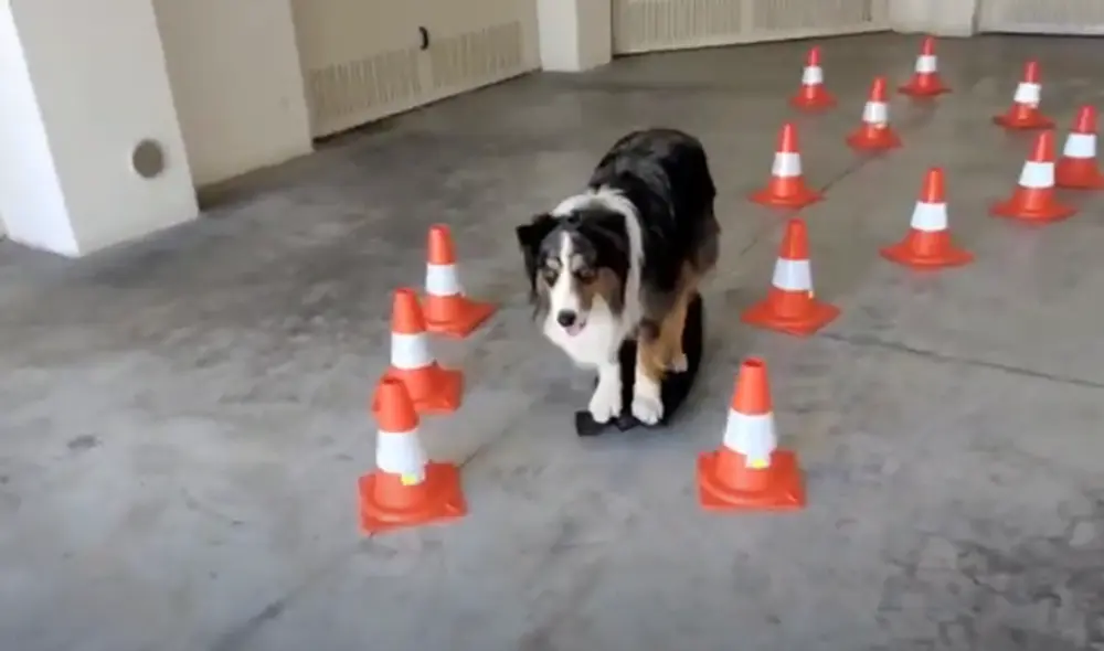 Desliza hacia la izquierda para ver las imágenes del video viral. Foto: Captura de YouTube.