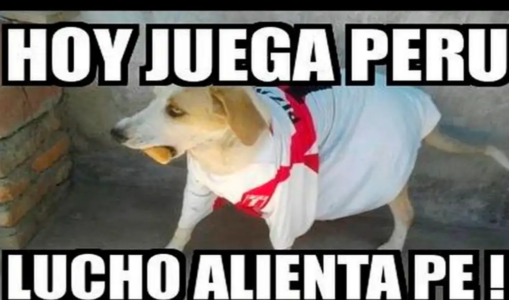 Perú perdió por la mínima ante su similar de Colombia en Miami y los hilarantes memes no se hicieron esperar en redes sociales. Perú perdió por la mínima ante su similar de Colombia en Miami y los hilarantes memes no se hicieron esperar en redes sociales.