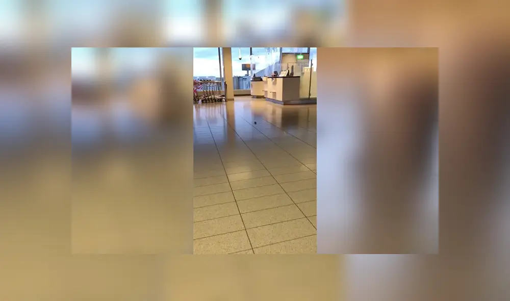 Desliza para ver los detalles del video viral publicado en YouTube. Foto: Captura.