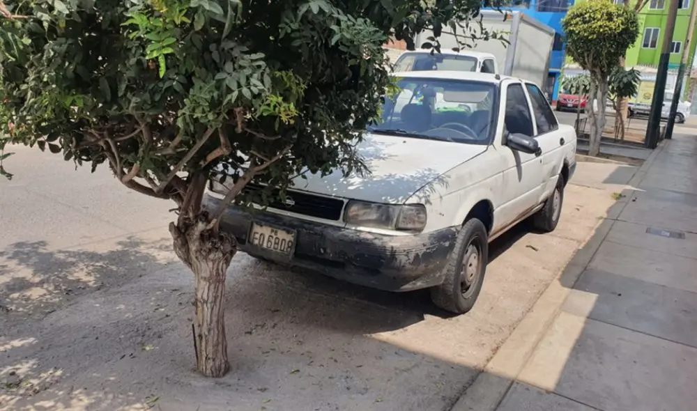 Las subgerencias de Obras y Mantenimiento del Ornato, y de Limpieza, Parques y Jardines ayudaron a remover el concreto que afectaba el área verde. (Foto: Municipalidad de Surco)