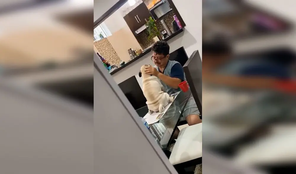 Desliza las imágenes para apreciar el amoroso momento entre un hombre con la mascota de su hijo. Foto: Captura de Facebook Desliza las imágenes para apreciar el amoroso momento entre un hombre con la mascota de su hijo. Foto: Captura de Facebook