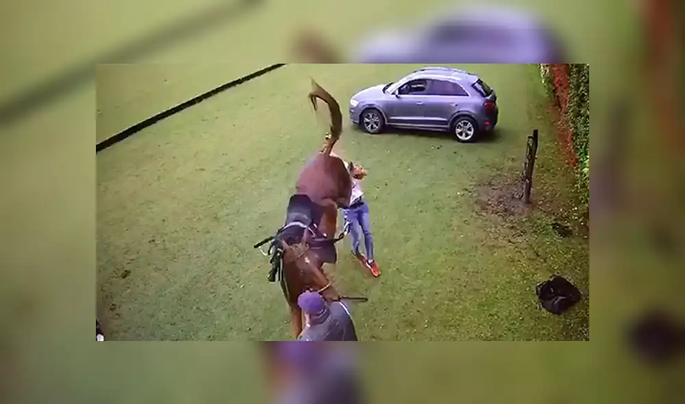 Joven queda inconsciente al recibir contundente patada de un caballo.