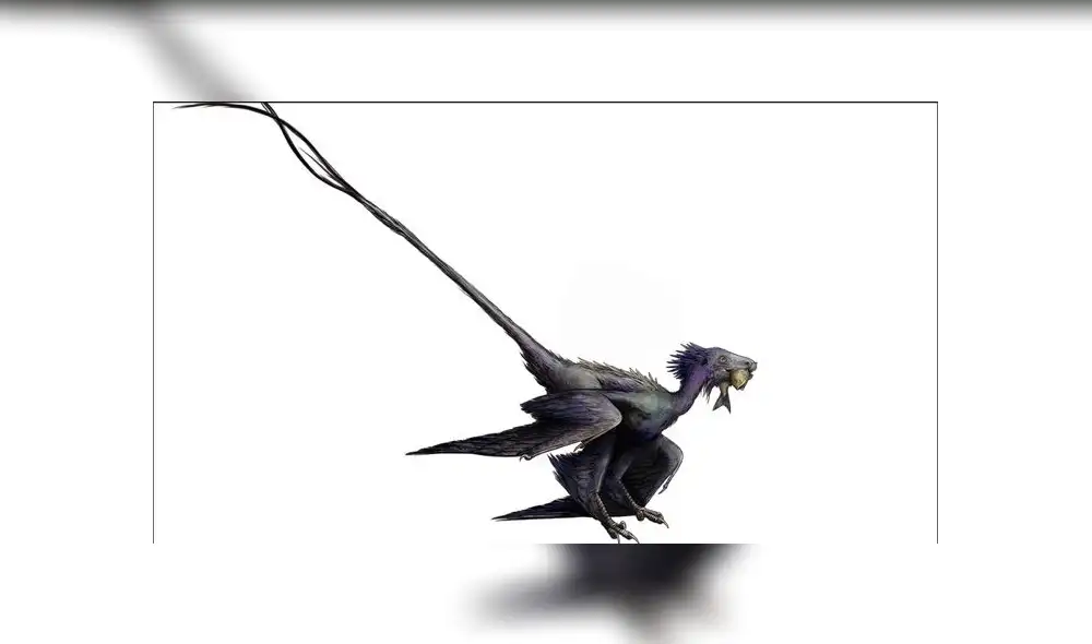 Simulación de lo que habría sido el dragón danzante. Foto: Museo de Historia Nacional de San Diego.