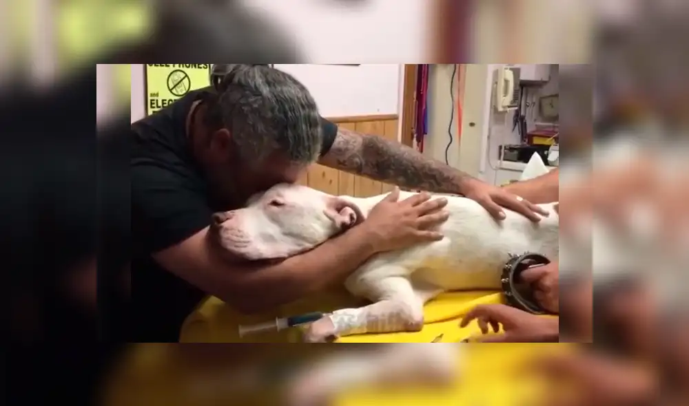 Video es viral en Facebook. El dueño del can rompió en llanto y protagonizó una conmovedora escena al darle el último adiós a su fiel perro que lo había acompañado por 14 años