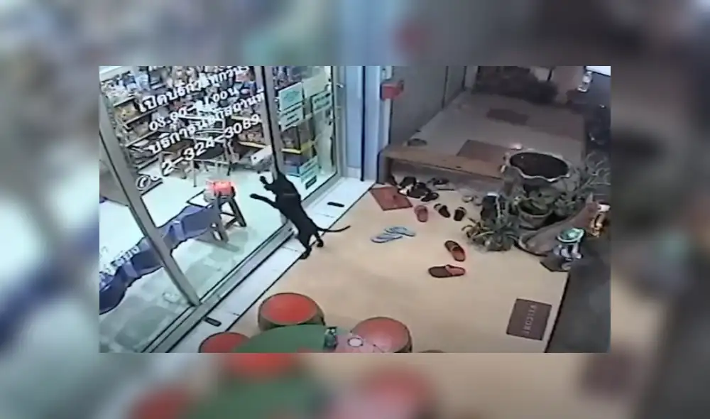 Desliza hacia la izquierda para ver más del video viral. Fotocaptura: YouTube