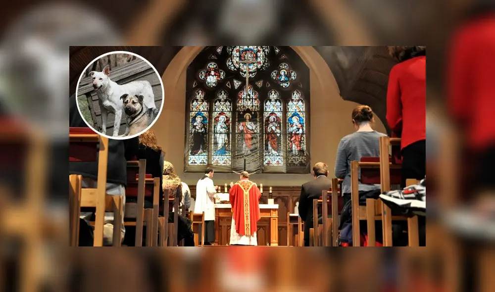 Sacerdote asiste con perros callejeros a misa para promover la adopción [FOTOS]