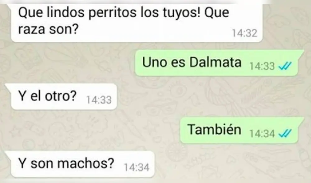 WhatsApp Viral: Él se le insinuaba y ella le hizo broma del 'Chavo del 8' [FOTOS]