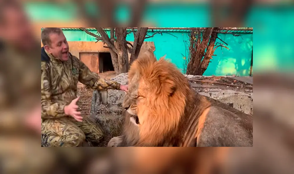 Desliza hacia la izquierda para ver el comportamiento del feroz león que se hizo viral en Facebook.