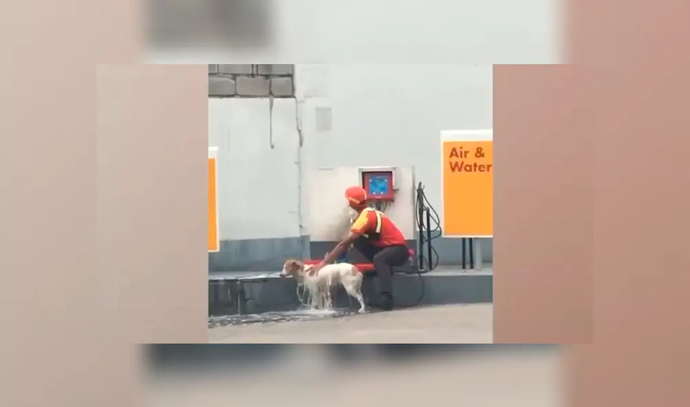 Un grifero se ganó la admiración de miles de usuarios de YouTube tras ser captado bañando a un perro callejero. Un grifero se ganó la admiración de miles de usuarios de YouTube tras ser captado bañando a un perro callejero.