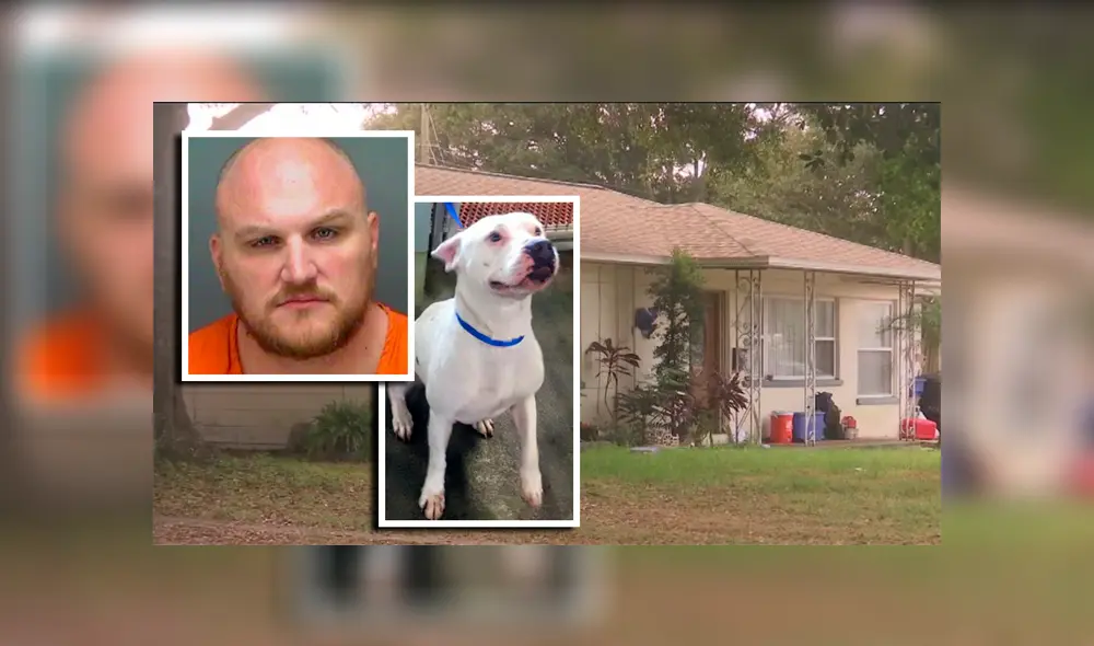 Investigan a hombre que deja inconsciente a su mascota al darle fuerte golpiza [VIDEO] 