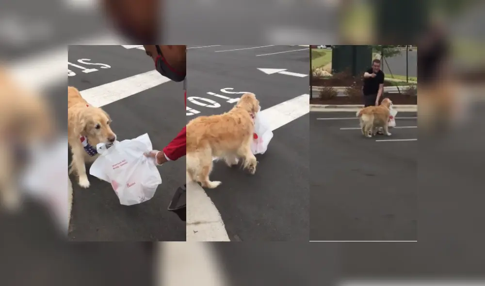 Desliza hacia la izquierda para ver más imágenes de este 'atento' perro que llamó al atención de miles. (Foto: captura / Facebook) Desliza hacia la izquierda para ver más imágenes de este 'atento' perro que llamó al atención de miles. (Foto: captura / Facebook)