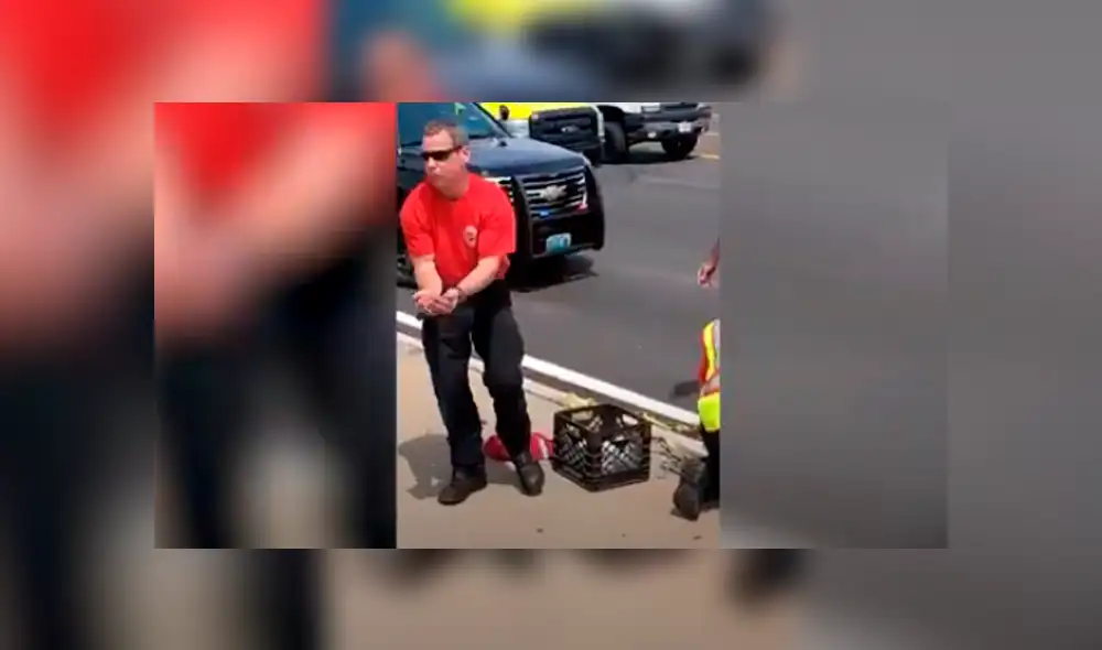 Desliza las imágenes hacia la izquierda para apreciar la noble labor de unos bomberos para rescatar a un ave. Foto: Caters Clips. Desliza las imágenes hacia la izquierda para apreciar la noble labor de unos bomberos para rescatar a un ave. Foto: Caters Clips.