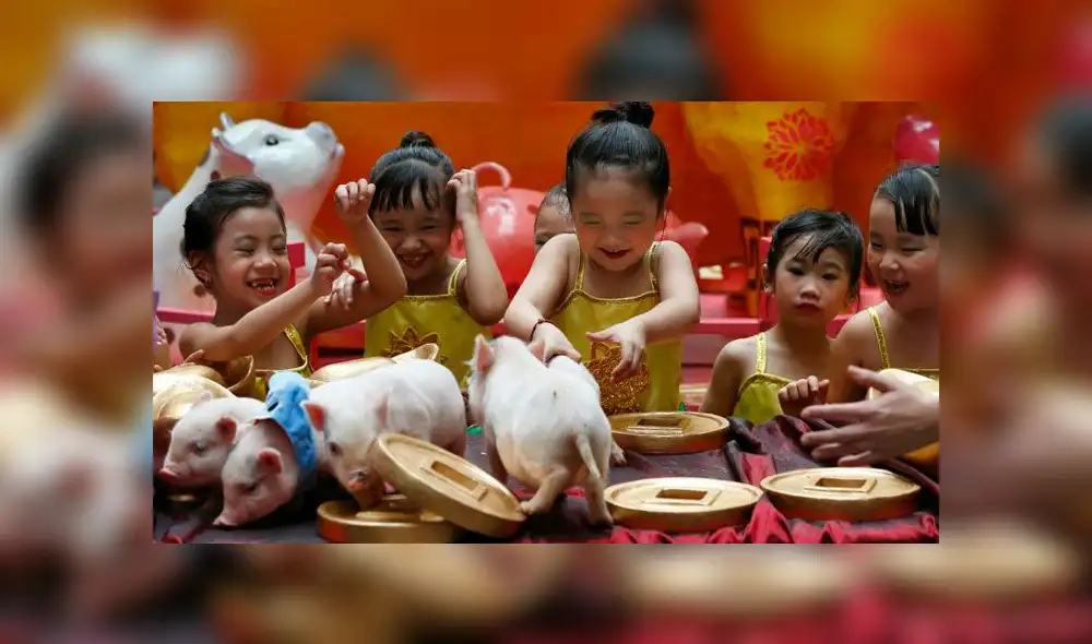 Año Nuevo Chino 2019: así se vive el festejo mundial del Año del Cerdo  [VIDEO]