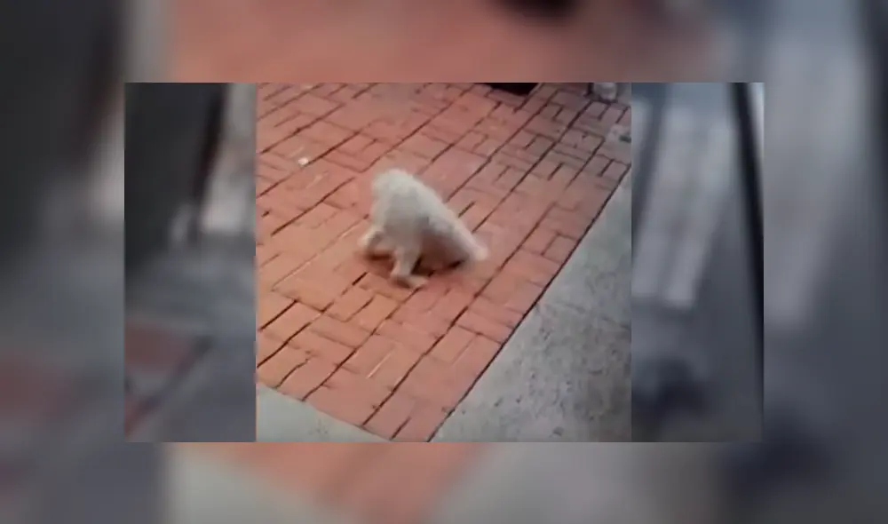 Desliza para ver el terrible final de este polémico video viral de YouTube. Foto: Captura. Desliza para ver el terrible final de este polémico video viral de YouTube. Foto: Captura.