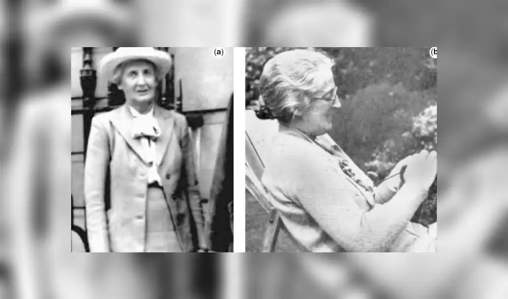 Google Translate: Polémico resultado de traductor al escribir Lucy Wills y sorprende a usuarios [FOTOS]