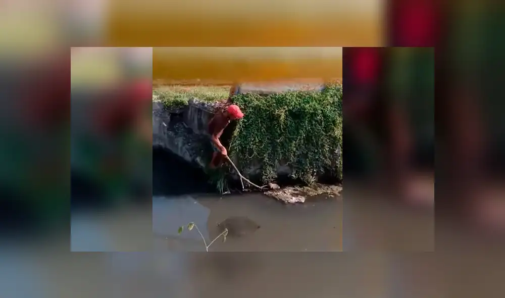 YouTube viral: Valiente hombre arriesga su vida para rescatar a perrito que iba a morir ahogado [VIDEO]