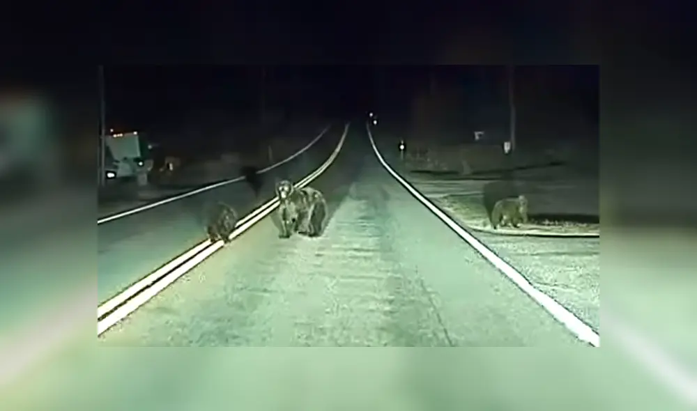 El vehículo iba a 50 km/h., lo suficiente para hacer un daño tremendo a quien se atraviese en su camino. Foto: captura. El vehículo iba a 50 km/h., lo suficiente para hacer un daño tremendo a quien se atraviese en su camino. Foto: captura.