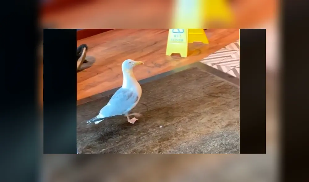 Desliza la imagen para verlas todas. Foto:  kerricoo1991 / TikTok