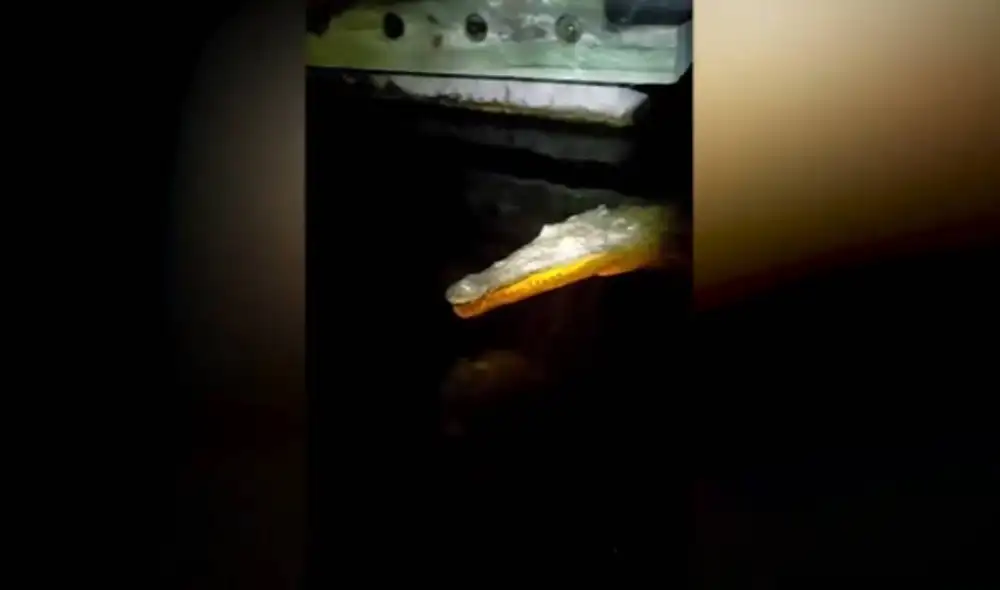 Desliza las imágenes para ver la impactante experiencia que vivió un joven al sumergir su mano en un lago en plena oscuridad. Foto: Caters Clips/ YouTube