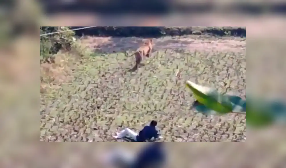 Desliza para ver los momentos más aterradores del video que se hizo viral en Facebook. Desliza para ver los momentos más aterradores del video que se hizo viral en Facebook.