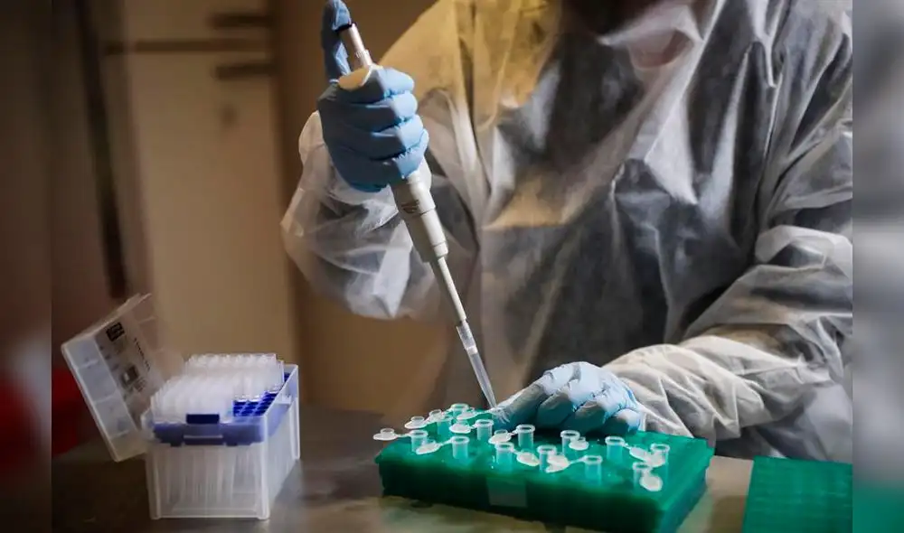 Fotografía de una investigadora de COVID-19 en un laboratorio. Foto: EFE/Federico Anfitti. Fotografía de una investigadora de COVID-19 en un laboratorio. Foto: EFE/Federico Anfitti.