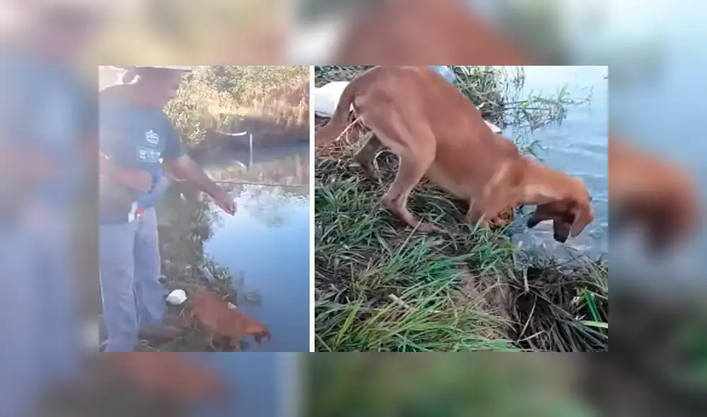 Desliza hacia la izquierda para ver las imágenes del viral de YouTube. Desliza hacia la izquierda para ver las imágenes del viral de YouTube.