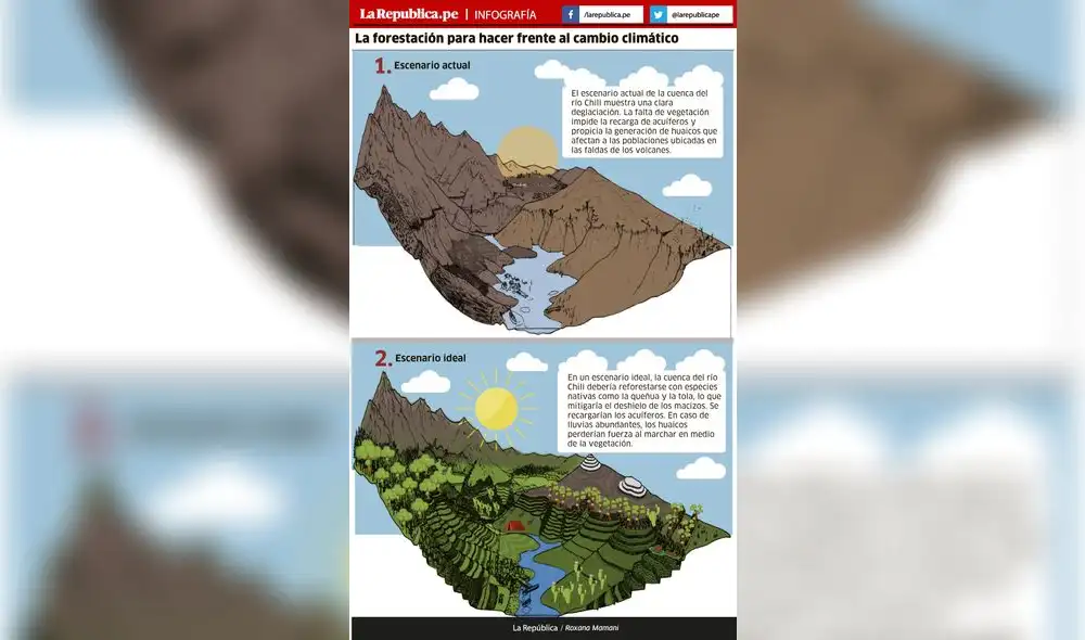 La forestación para hacer frente al cambio climático 