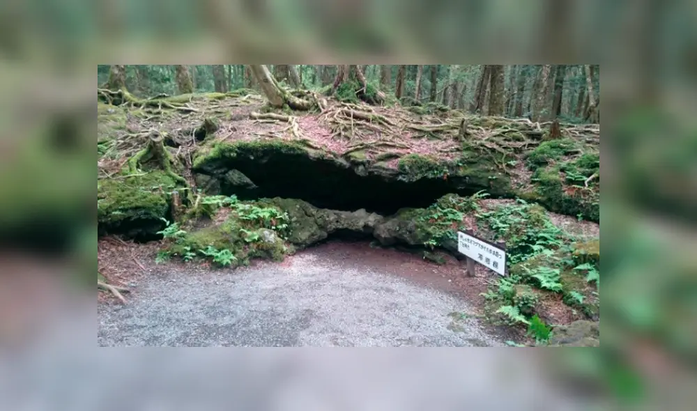 Google Maps: conoce todo sobre Aokigahara, el ‘bosque de los suicidios’ ubicado en Japón Google Maps: conoce todo sobre Aokigahara, el ‘bosque de los suicidios’ ubicado en Japón
