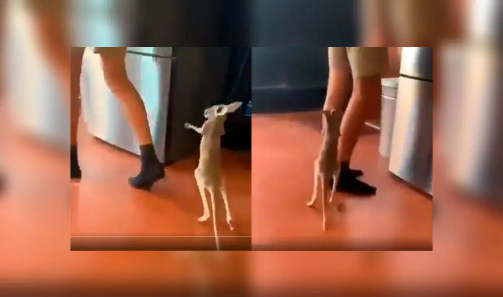 Desliza a la izquierda para ver este enternecedor acto. Foto: Captura. Desliza a la izquierda para ver este enternecedor acto. Foto: Captura.