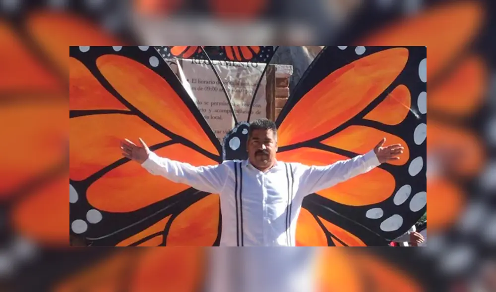 Defensor de la mariposa monarca