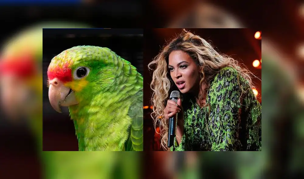 Desliza las imágenes para ver todos los detalles de este viral publicado en redes sociales.Foto: Ale Alcocer/facebook Desliza las imágenes para ver todos los detalles de este viral publicado en redes sociales.Foto: Ale Alcocer/facebook