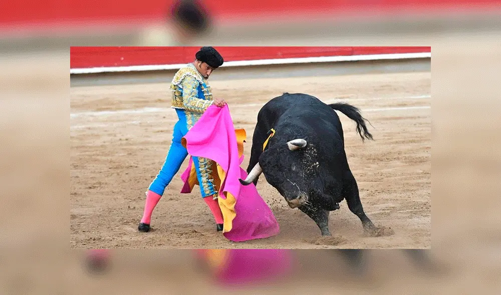 La iniciativa también limita las corridas a tres días al año. Foto: Colprensa. La iniciativa también limita las corridas a tres días al año. Foto: Colprensa.